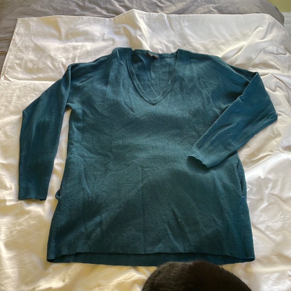 JCrew vneck sweater. 100% merino wool.